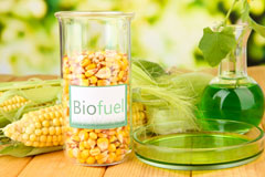 Plasters Green biofuel availability