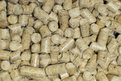 Plasters Green biomass boiler costs