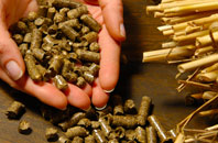 free Plasters Green biomass boiler quotes